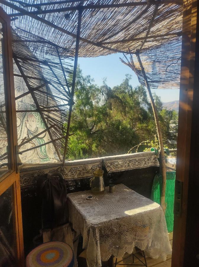 Nuevovalpo Hillside Homestay Santiago Exterior photo